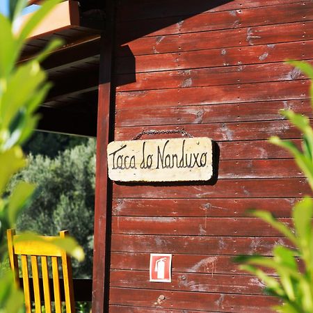 Villa Ramiro Celorico De Basto Eksteriør billede